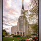 Boston Temple Spring Tulips