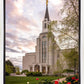Boston Temple Spring Tulips