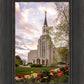 Boston Temple Spring Tulips