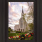 Boston Temple Spring Tulips
