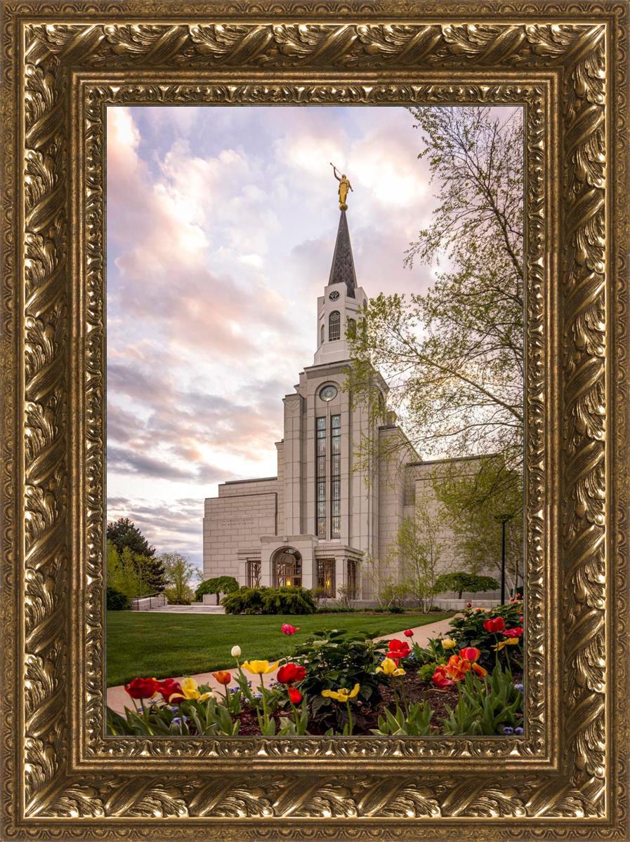 Boston Temple Spring Tulips