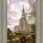 Boston Temple Spring Tulips