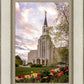Boston Temple Spring Tulips