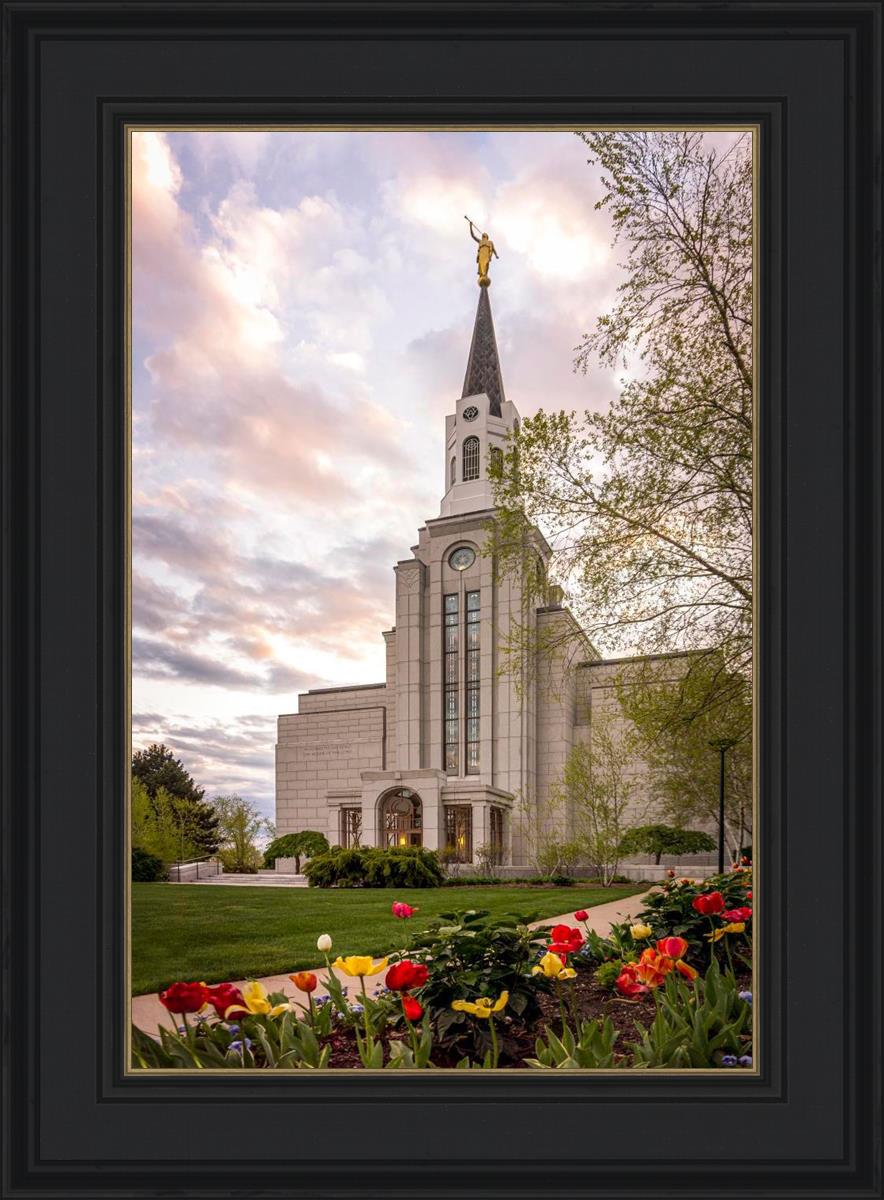 Boston Temple Spring Tulips
