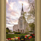 Boston Temple Spring Tulips