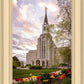 Boston Temple Spring Tulips