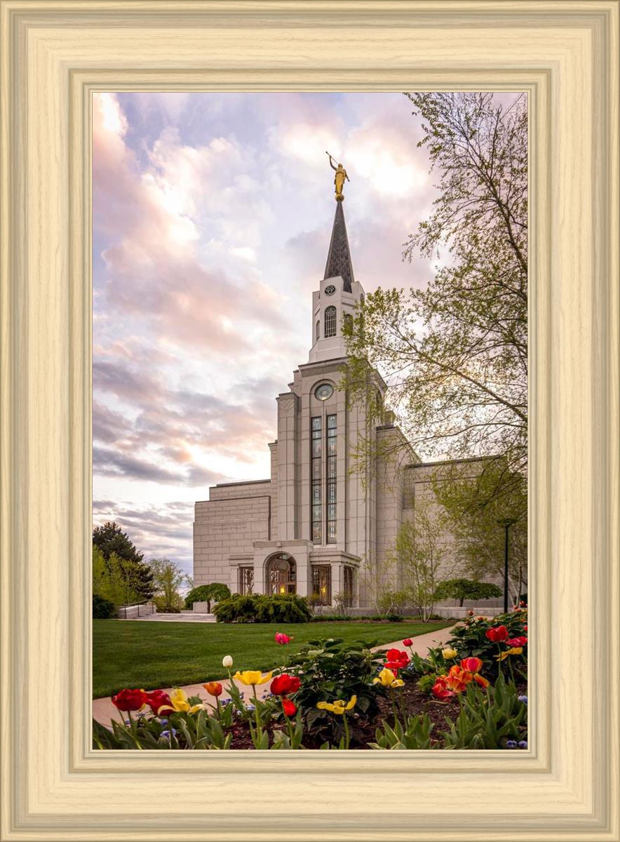 Boston Temple Spring Tulips