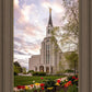 Boston Temple Spring Tulips