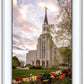 Boston Temple Spring Tulips