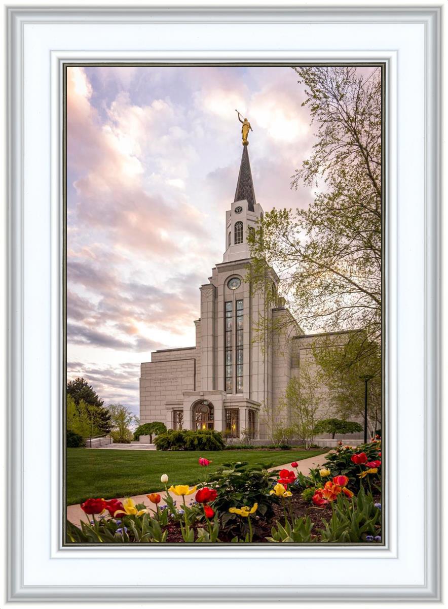 Boston Temple Spring Tulips