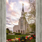 Boston Temple Spring Tulips