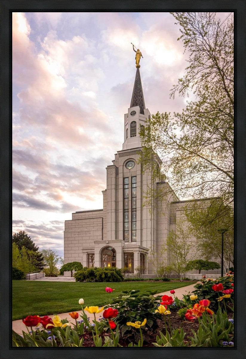 Boston Temple Spring Tulips Gallery Wrap