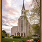 Boston Temple Spring Tulips