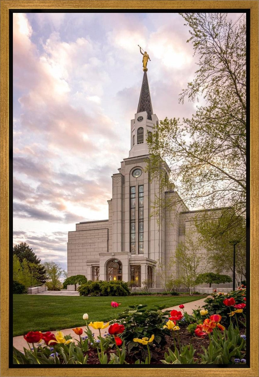 Boston Temple Spring Tulips Gallery Wrap