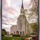 Boston Temple Spring Tulips