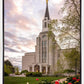 Boston Temple Spring Tulips