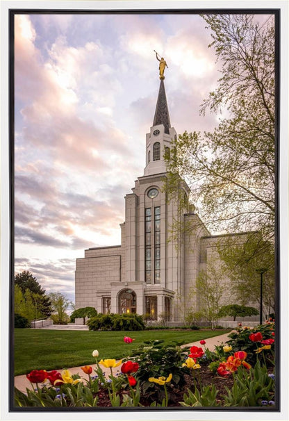 Boston Temple Spring Tulips