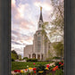 Boston Temple Spring Tulips