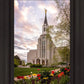 Boston Temple Spring Tulips