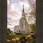 Boston Temple Spring Tulips