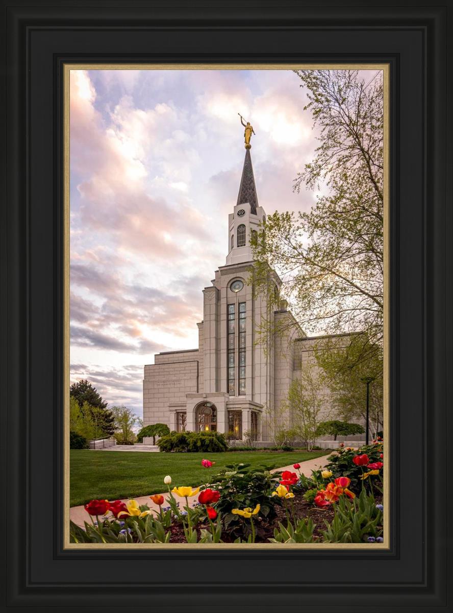 Boston Temple Spring Tulips