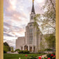Boston Temple Spring Tulips