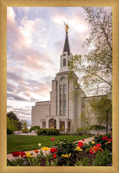 Boston Temple Spring Tulips