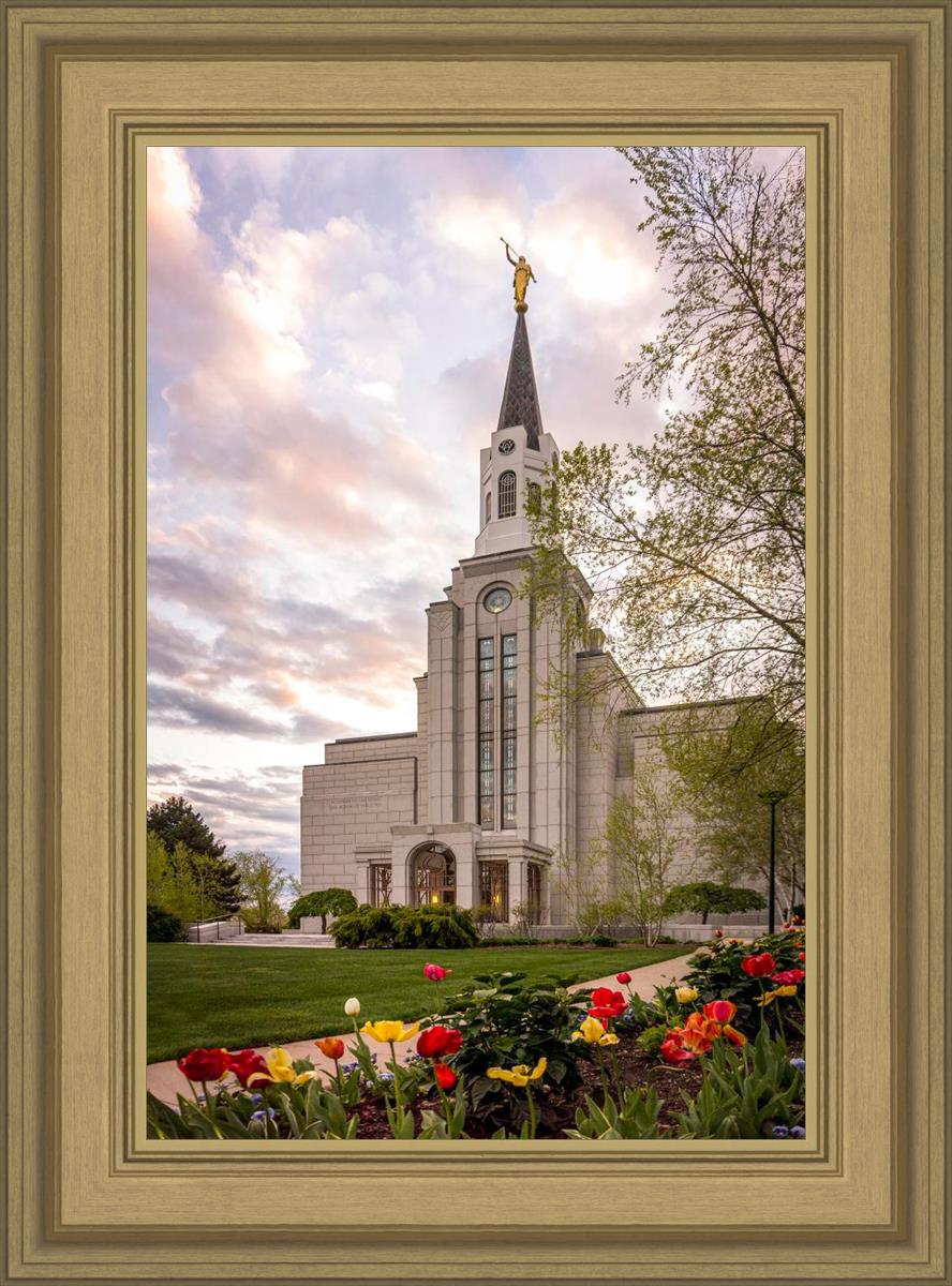 Boston Temple Spring Tulips