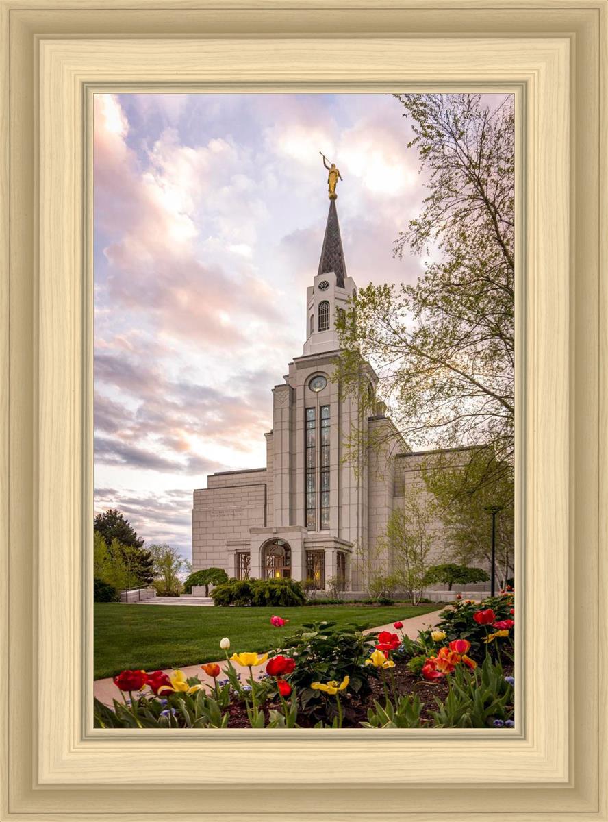 Boston Temple Spring Tulips