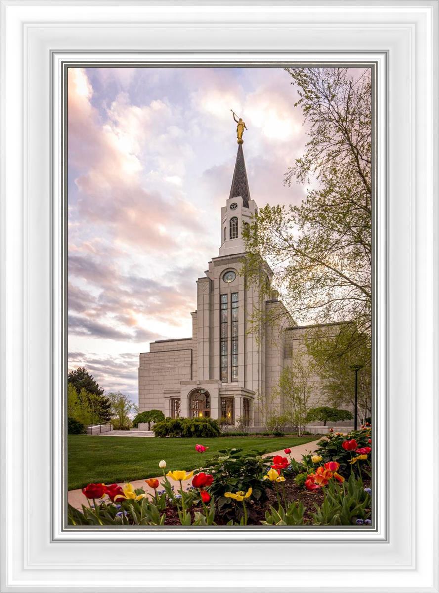 Boston Temple Spring Tulips