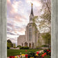 Boston Temple Spring Tulips