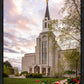 Boston Temple Spring Tulips