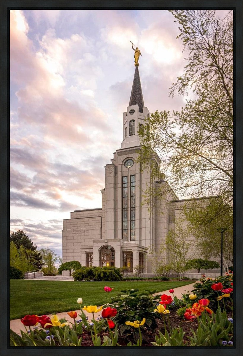Boston Temple Spring Tulips Gallery Wrap