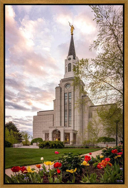 Boston Temple Spring Tulips