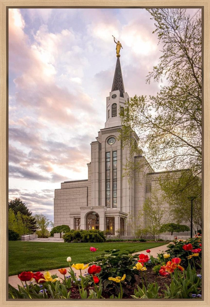 Boston Temple Spring Tulips Gallery Wrap