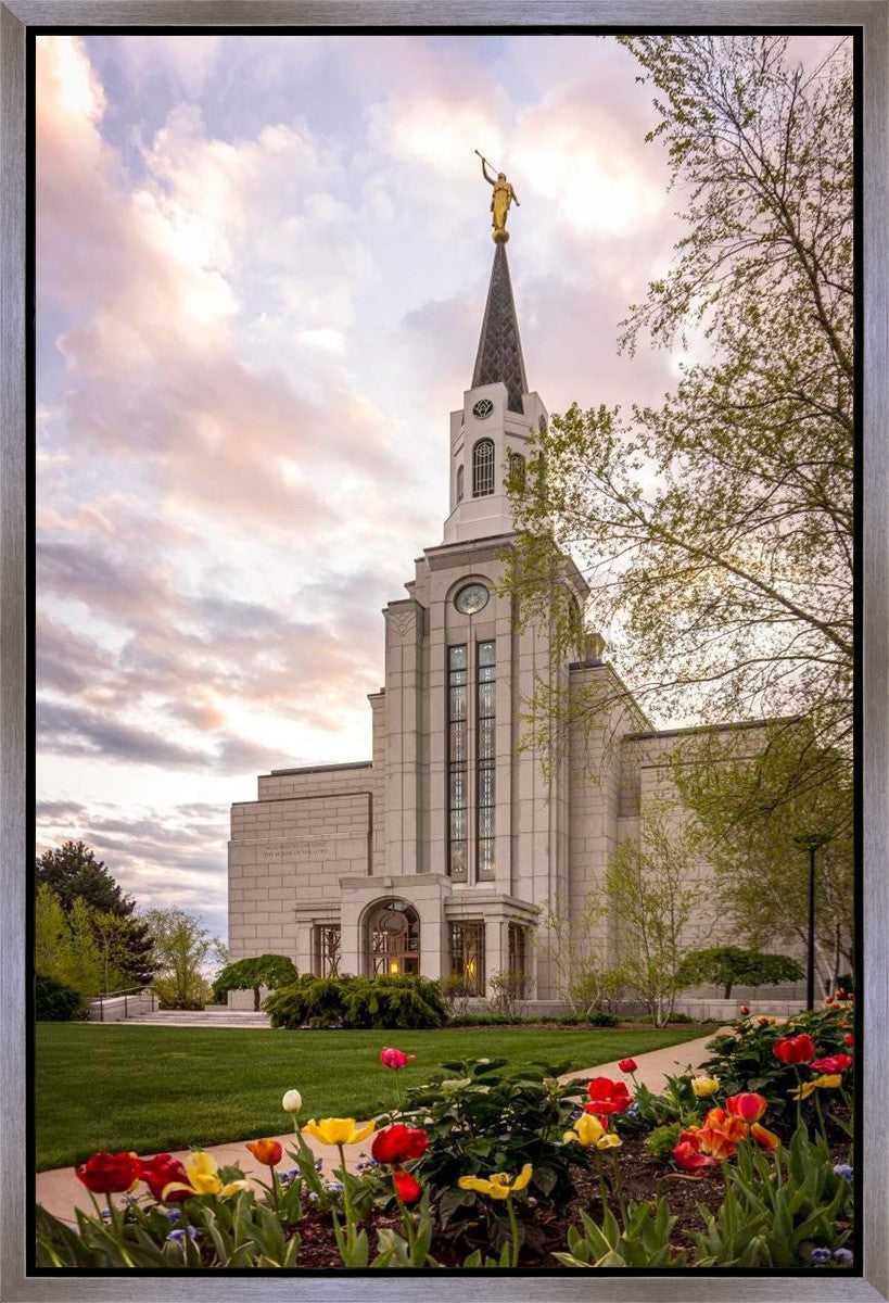 Boston Temple Spring Tulips Gallery Wrap