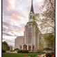 Boston Temple Spring Tulips