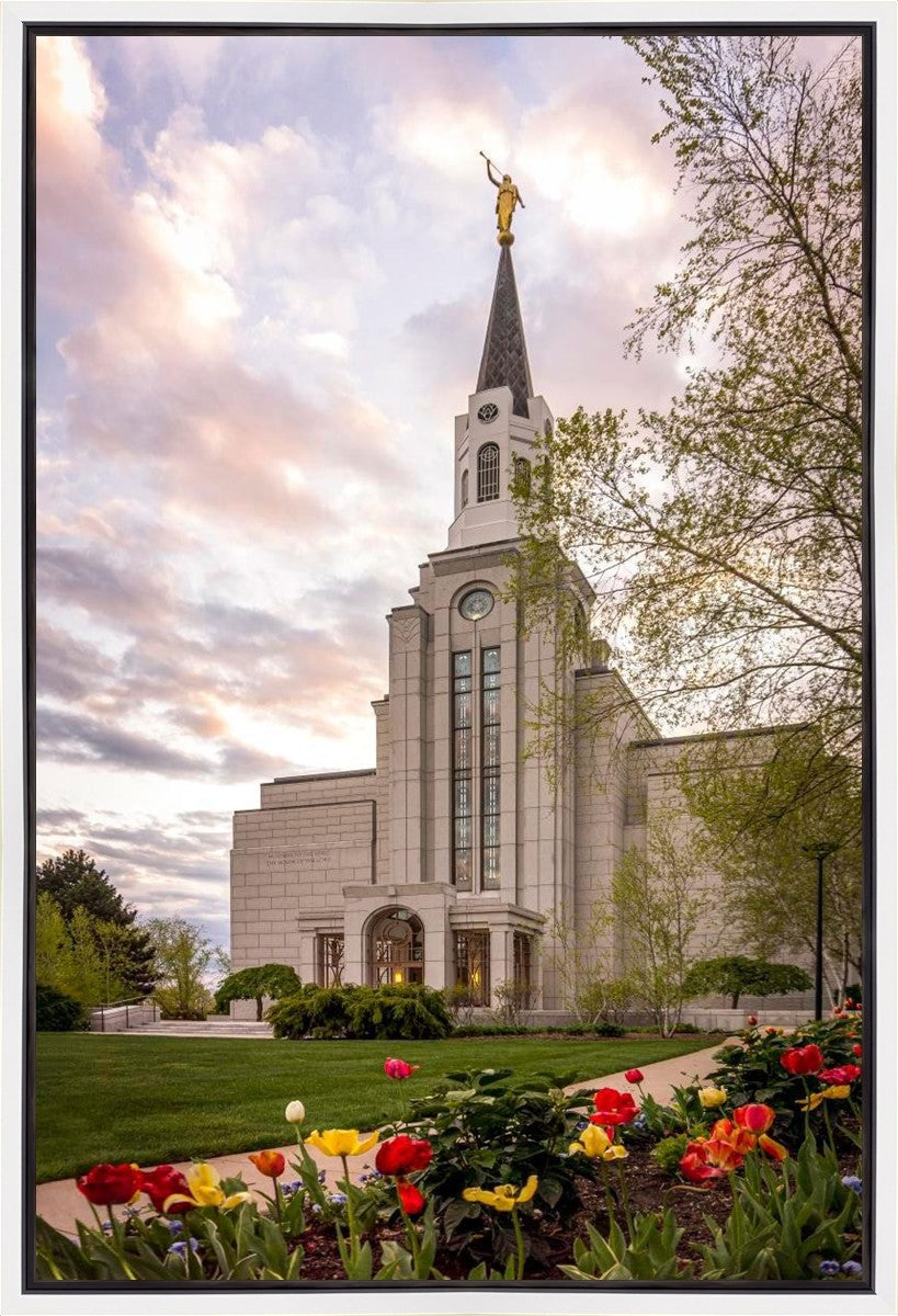 Boston Temple Spring Tulips Gallery Wrap