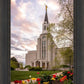 Boston Temple Spring Tulips