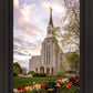 Boston Temple Spring Tulips
