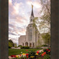 Boston Temple Spring Tulips