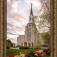 Boston Temple Spring Tulips