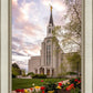 Boston Temple Spring Tulips