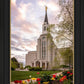 Boston Temple Spring Tulips