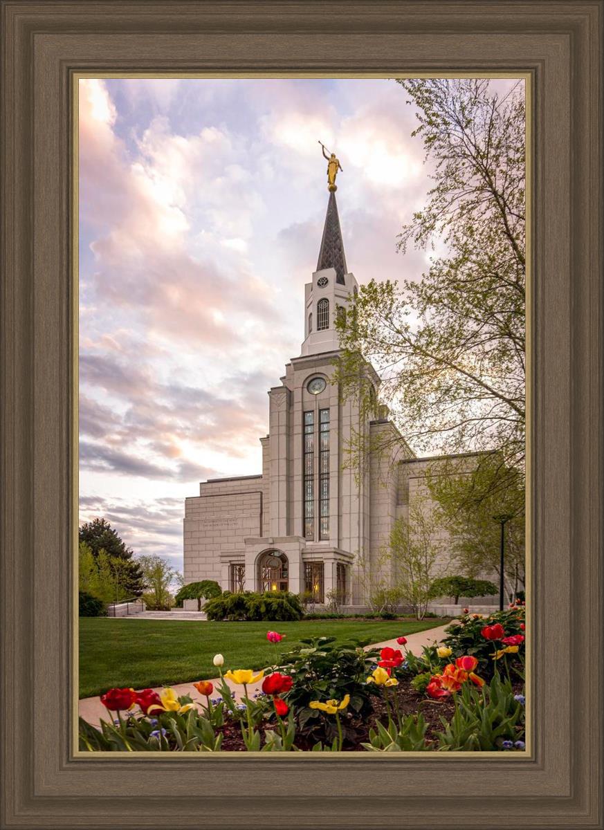 Boston Temple Spring Tulips