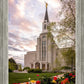Boston Temple Spring Tulips