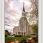 Boston Temple Spring Tulips