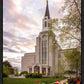 Boston Temple Spring Tulips