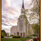 Boston Temple Spring Tulips
