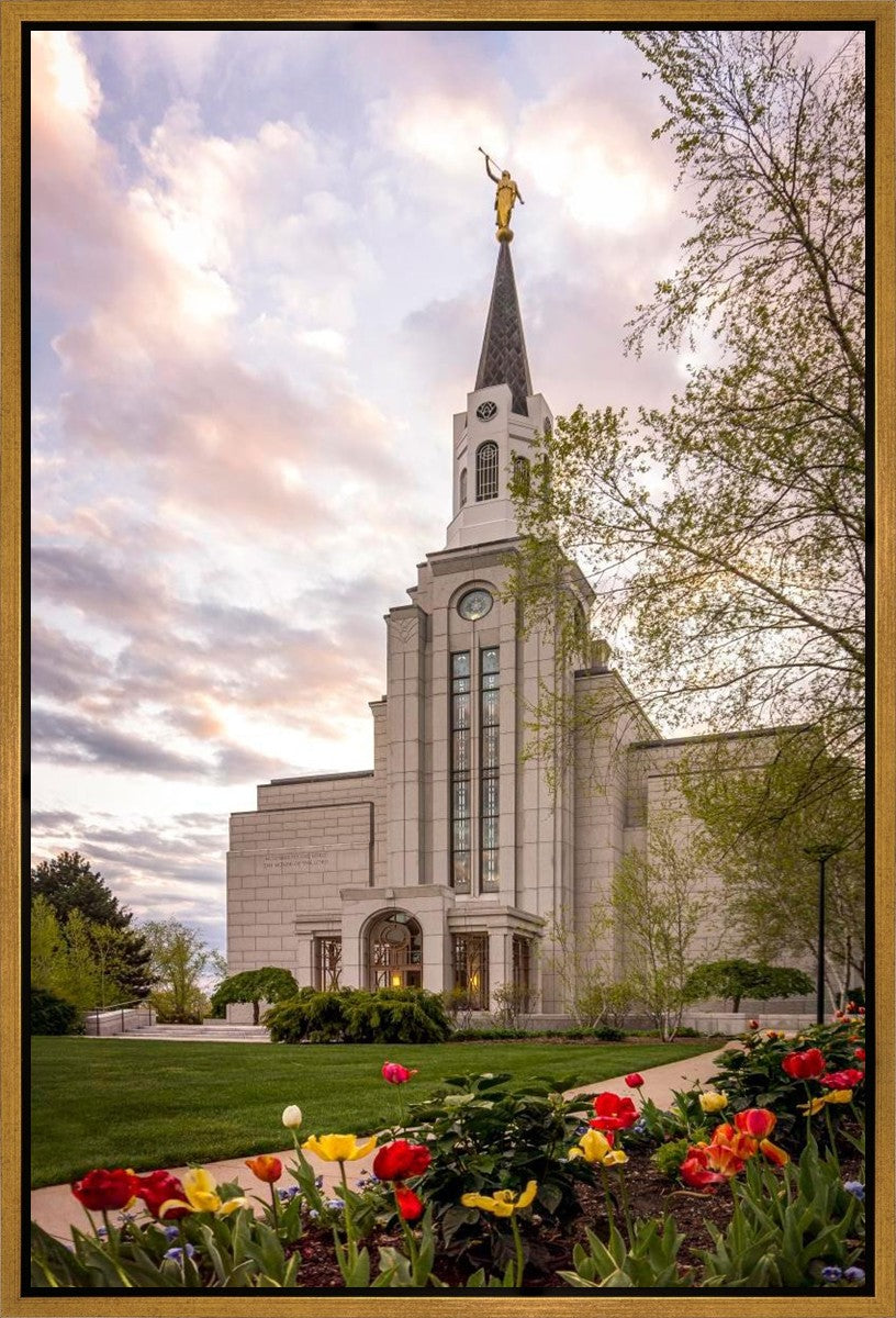 Boston Temple Spring Tulips Gallery Wrap